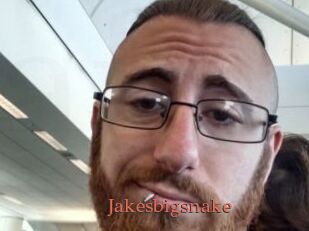 Jakesbigsnake
