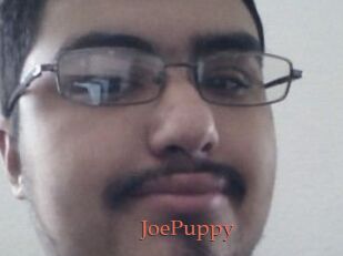 JoePuppy