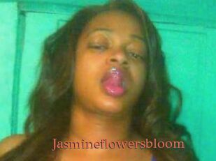 Jasmineflowersbloom