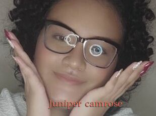 Juniper_camrose