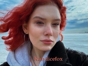 Kandicefox