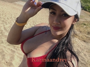 Karinaandrey