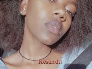 Kesandu