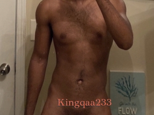 Kingqaa233