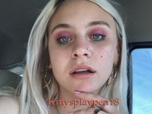 Kittysplaypen18