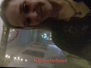 Kleinebeheer