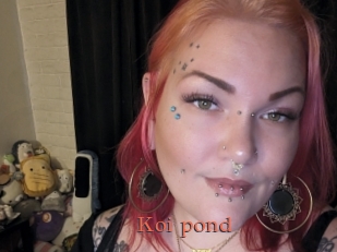 Koi_pond