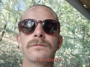Krisbirdy