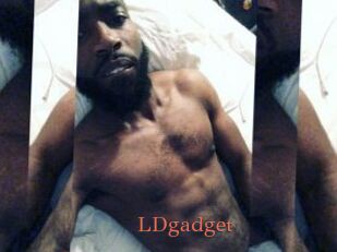 LDgadget