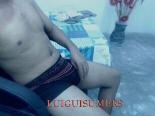 LUIGUISUMERS