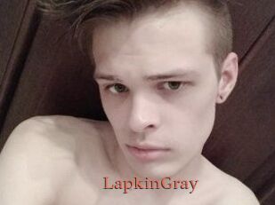 LapkinGray