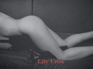 Lily_Crow