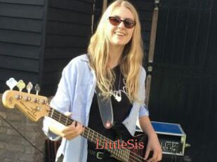 LittleSis