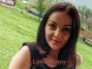 Little_Bunny_