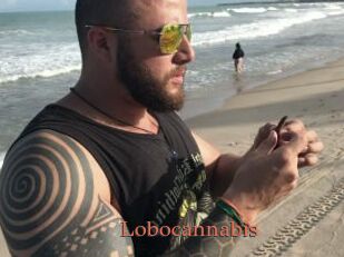 Lobocannabis
