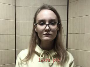 Lora_pic