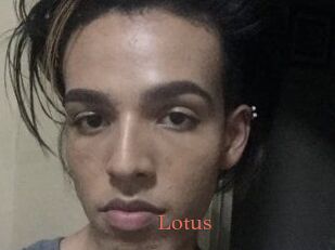 Lotus
