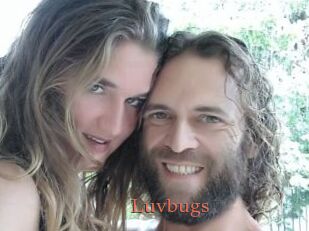 Luvbugs