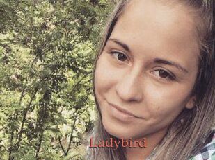 Ladybird
