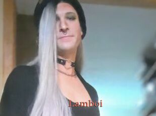 Lamboi