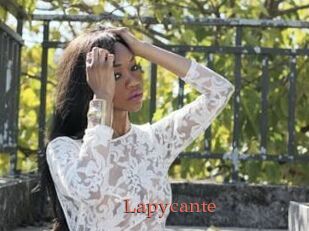 Lapycante
