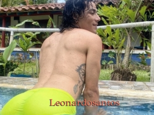 Leonardosantos