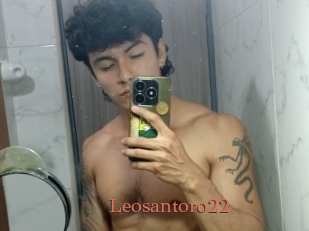 Leosantoro22