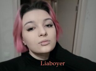 Liaboyer