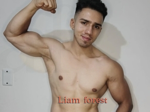 Liam_forest