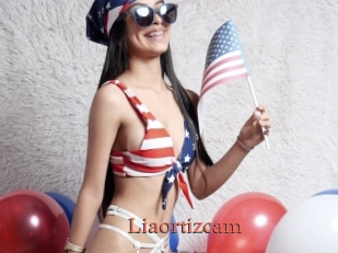 Liaortizcam