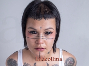 Lilacollina