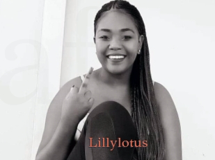 Lillylotus