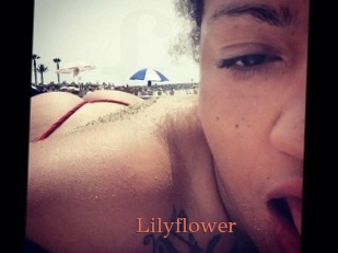 Lilyflower