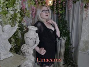 Linacams