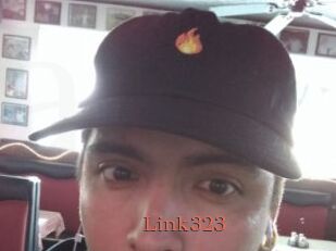 Link323