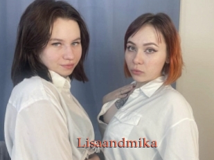 Lisaandmika