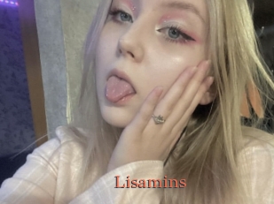 Lisamins