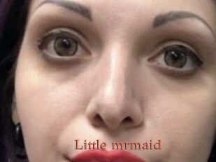 Little_mrmaid