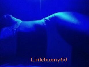 Littlebunny66