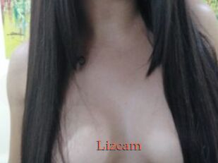 Lizcam