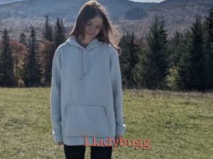 Lladybugg