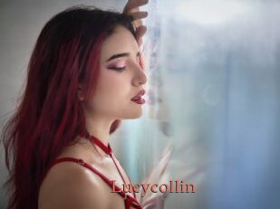 Lucycollin