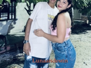 Lunaandestin