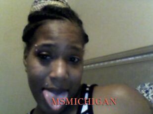 MSMICHIGAN