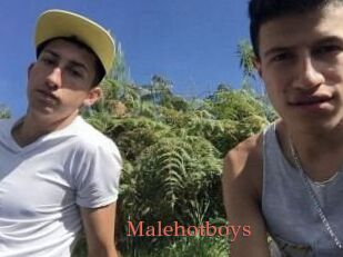 Malehotboys
