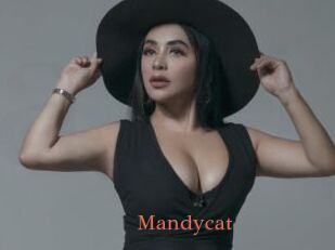 Mandycat