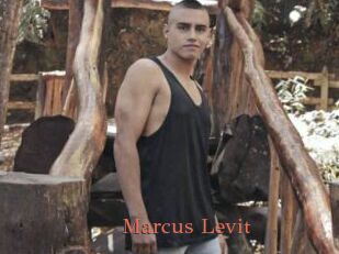 Marcus_Levit