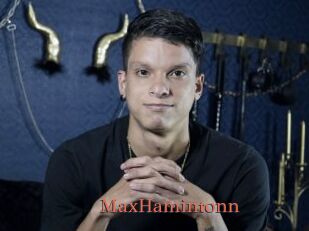 MaxHamintonn