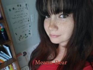 Meana_Bear
