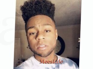 MeesLife